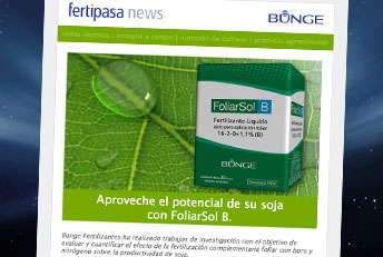eNews Fertipasa News de Bunge. Desarrollado en HTML.